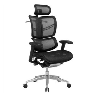 SDF Ergonomic Chair